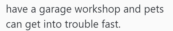 have a garage workshop and pets can get into trouble fast.