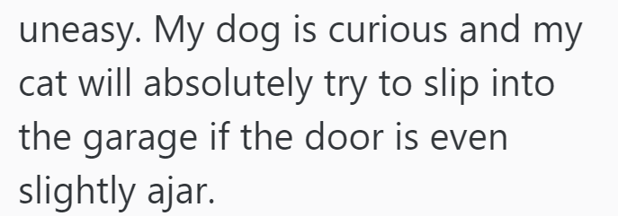 uneasy. My dog is curious and my cat will absolutely try to slip into the garage if the door is even slightly ajar.