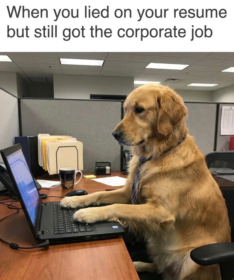 When you lied on your resume but still got the corporate job ent