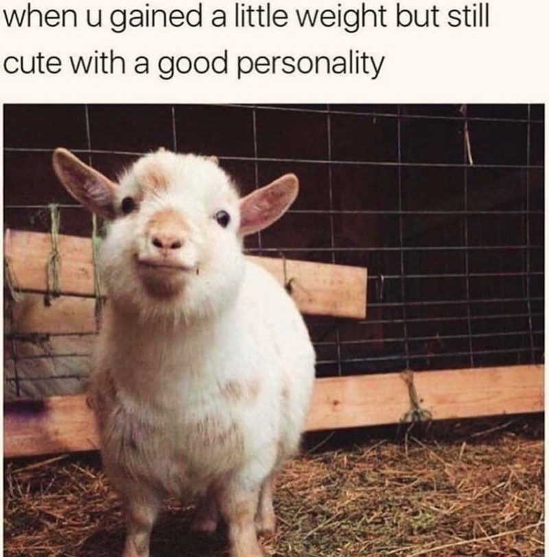 when u gained a little weight but still cute with a good personality