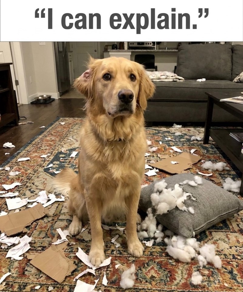 "I can explain."
