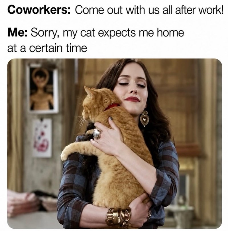 Coworkers: Come out with us all after work! Me: Sorry, my cat expects me home at a certain time