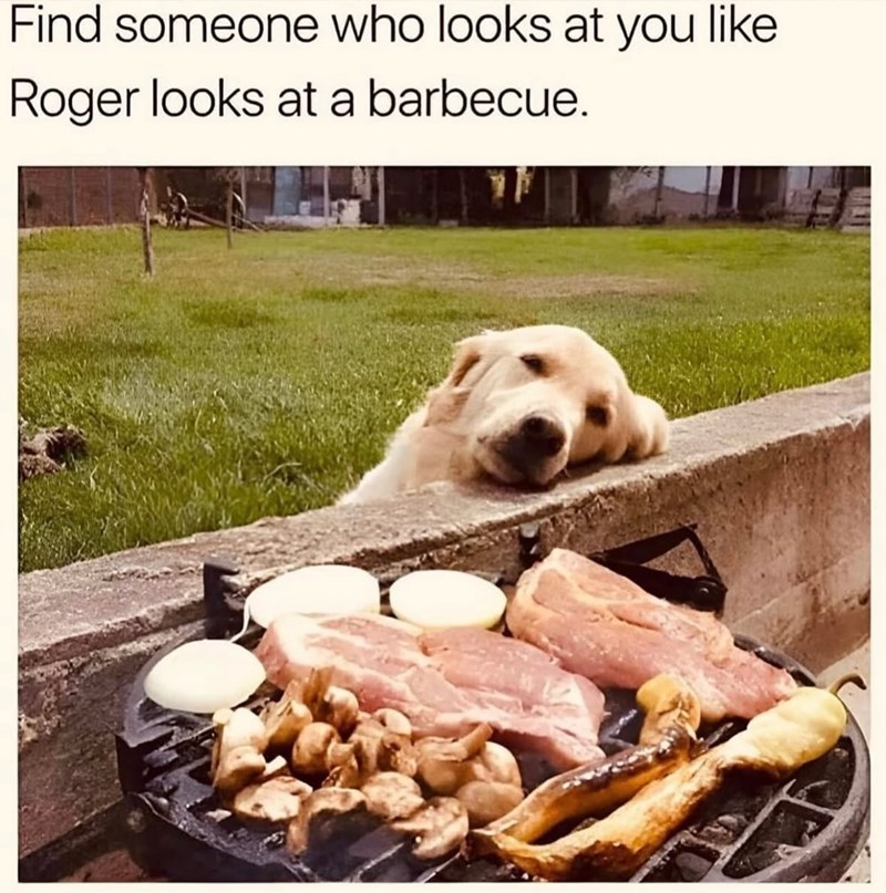 Find someone who looks at you like Roger looks at a barbecue.