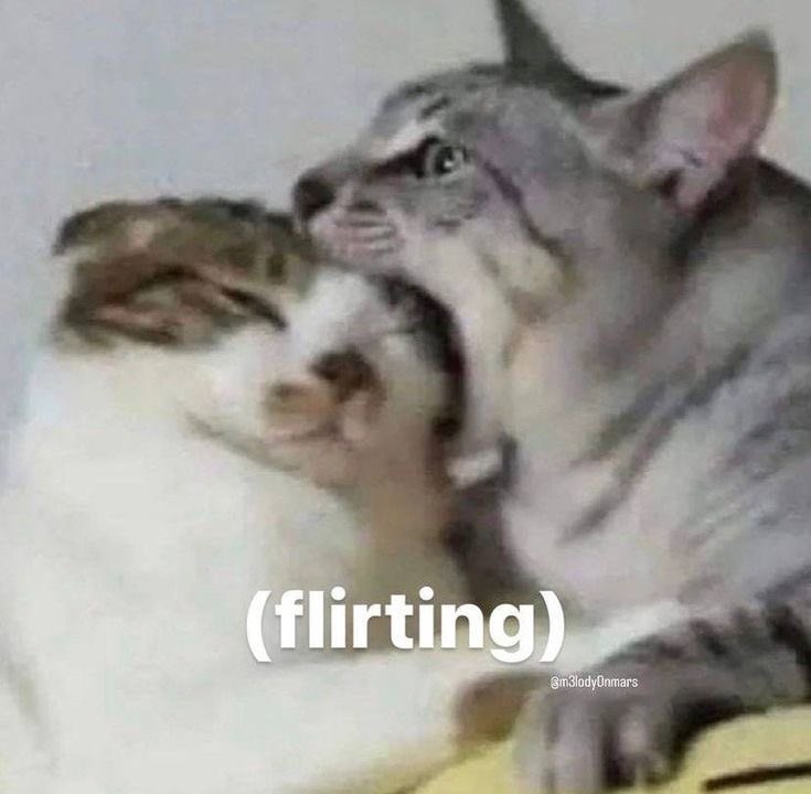 (flirting) 3m3lodyOnmars
