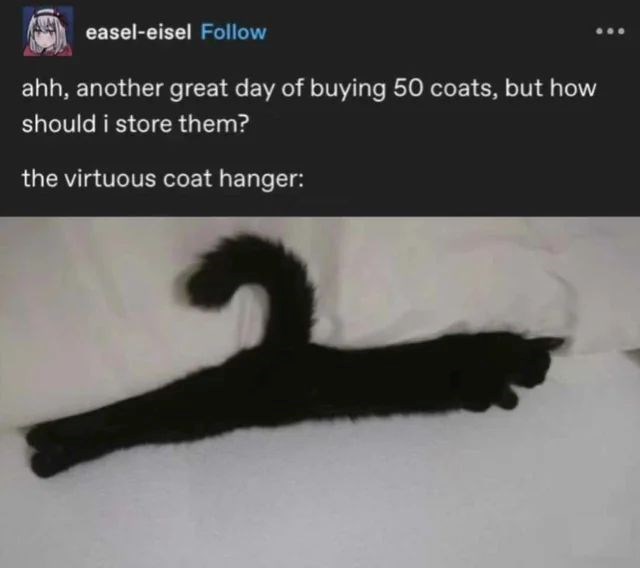 easel-eisel Follow ahh, another great day of buying 50 coats, but how should i store them? the virtuous coat hanger: