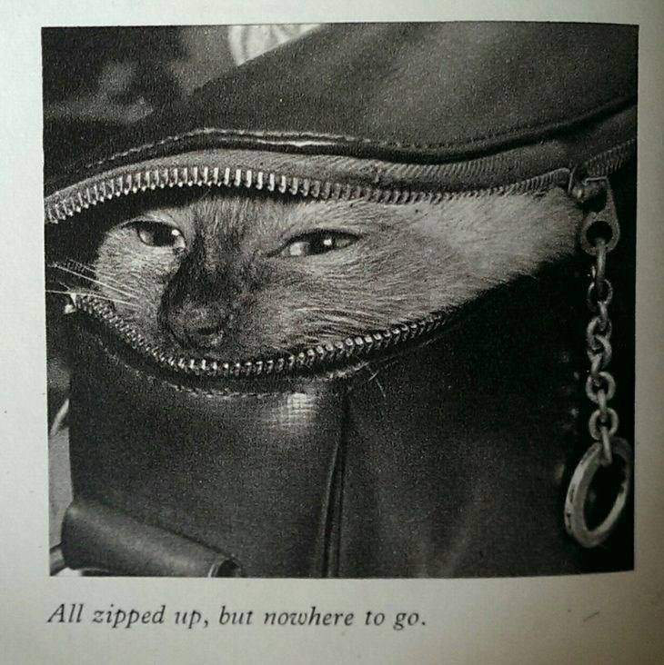 All zipped up, but nowhere to go.