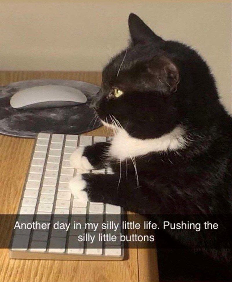 Another day in my silly little life. Pushing the silly little buttons