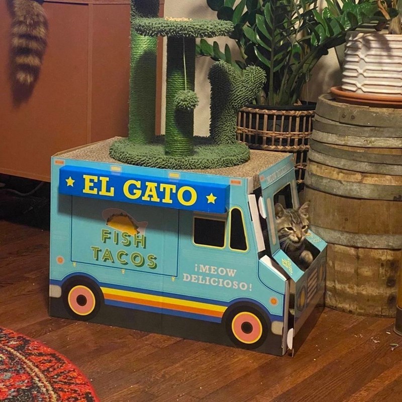 EL GATO FISH TACOS ¡MEOW DELICIOSO!