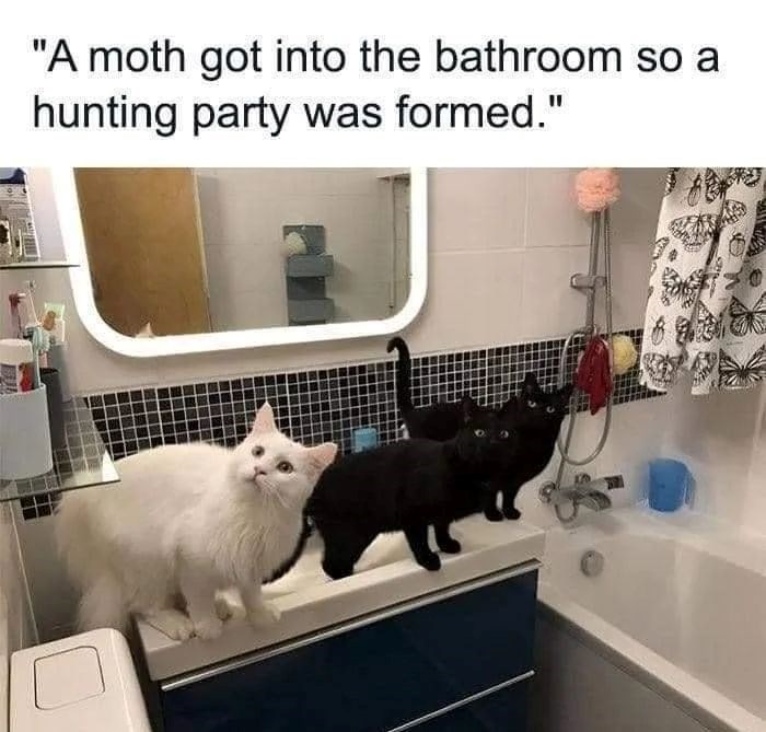 "A moth got into the bathroom so a hunting party was formed." 1696