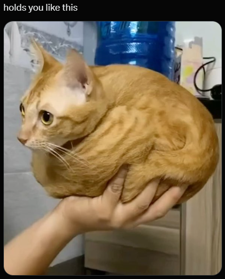 holds you like this