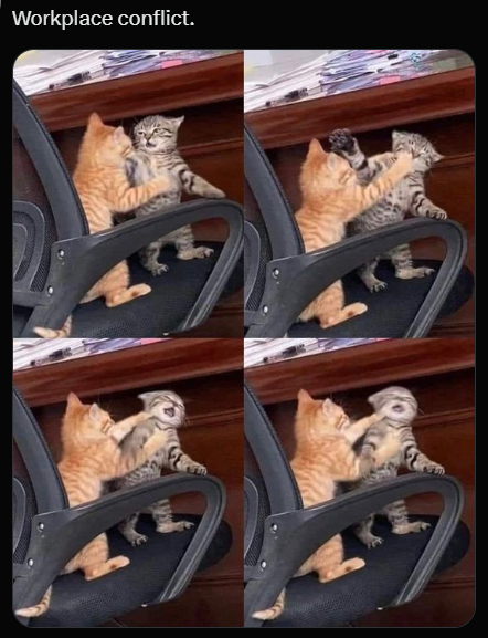 Workplace conflict.