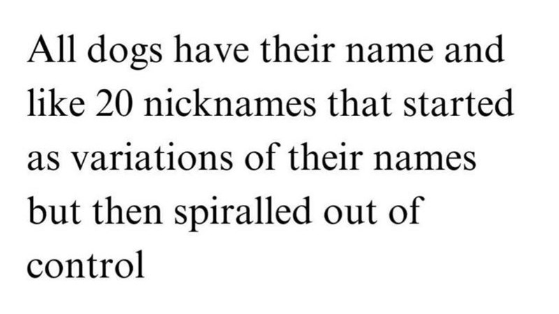 All dogs have their name and like 20 nicknames that started as variations of their names but then spiralled out of control