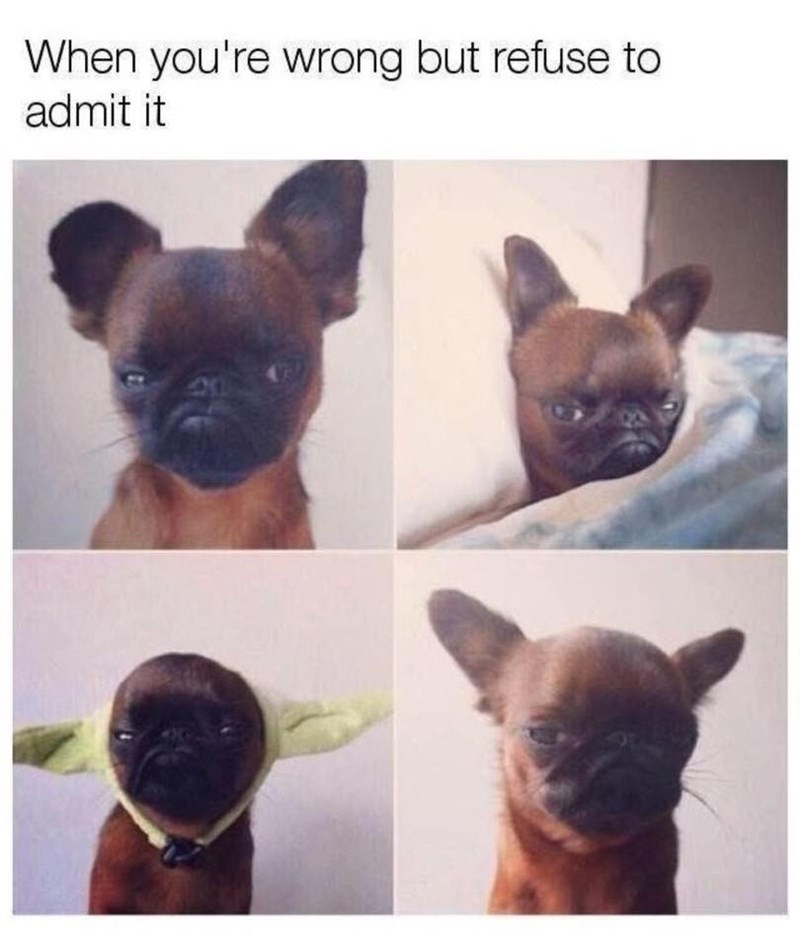 When you're wrong but refuse to admit it