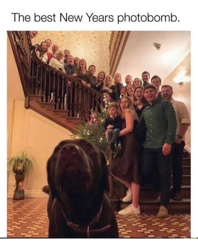 The best New Years photobomb.