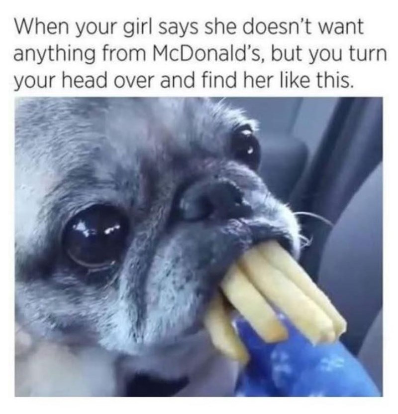 When your girl says she doesn't want anything from McDonald's, but you turn your head over and find her like this.