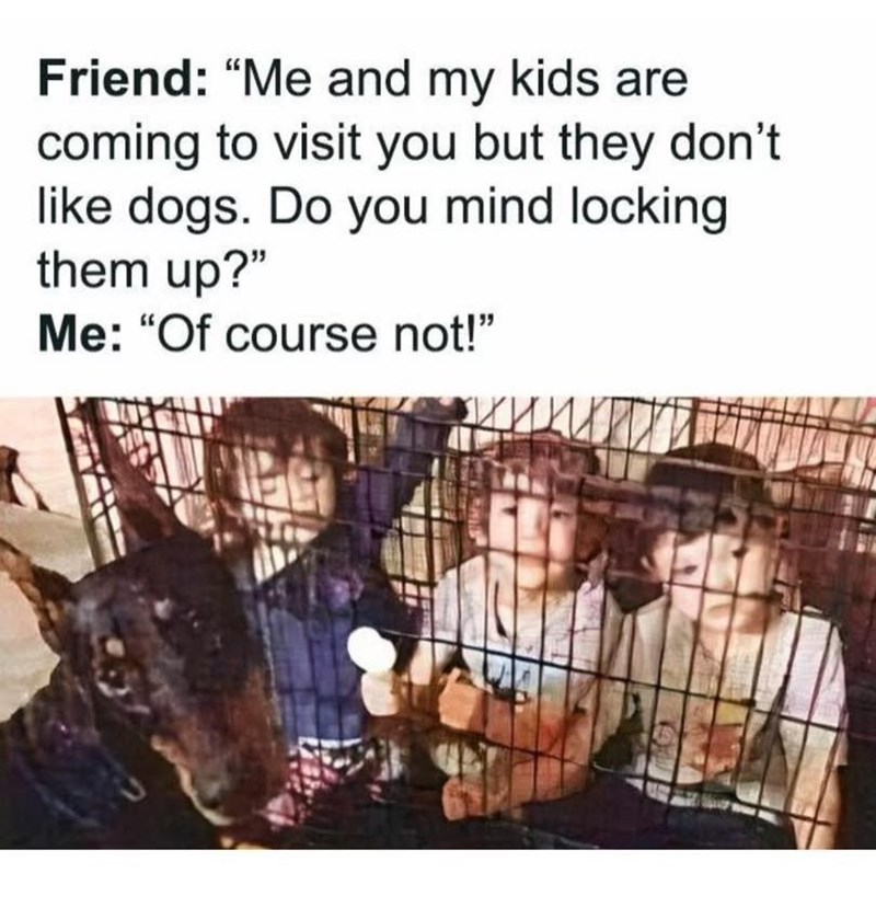 Friend: "Me and my kids are coming to visit you but they don't like dogs. Do you mind locking them up?" Me: "Of course not!"