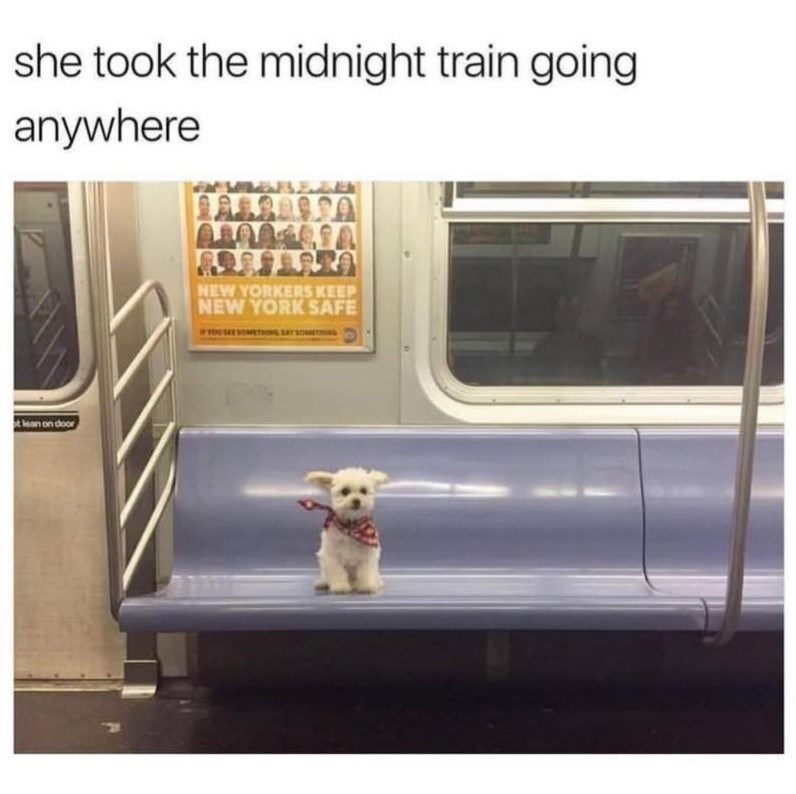 she took the midnight train going anywhere t lean on door NEW YORKERS KEEP NEW YORK SAFE YOU SEE