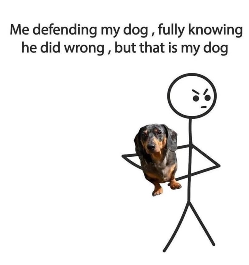 Me defending my dog, fully knowing he did wrong, but that is my dog