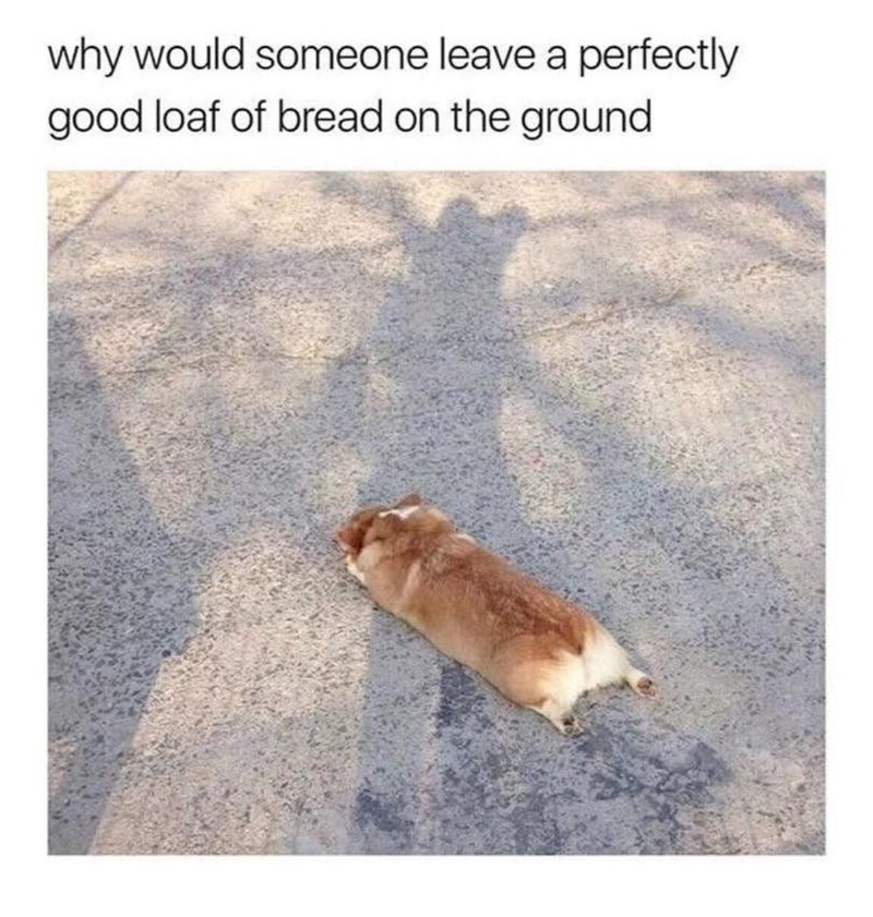 why would someone leave a perfectly good loaf of bread on the ground