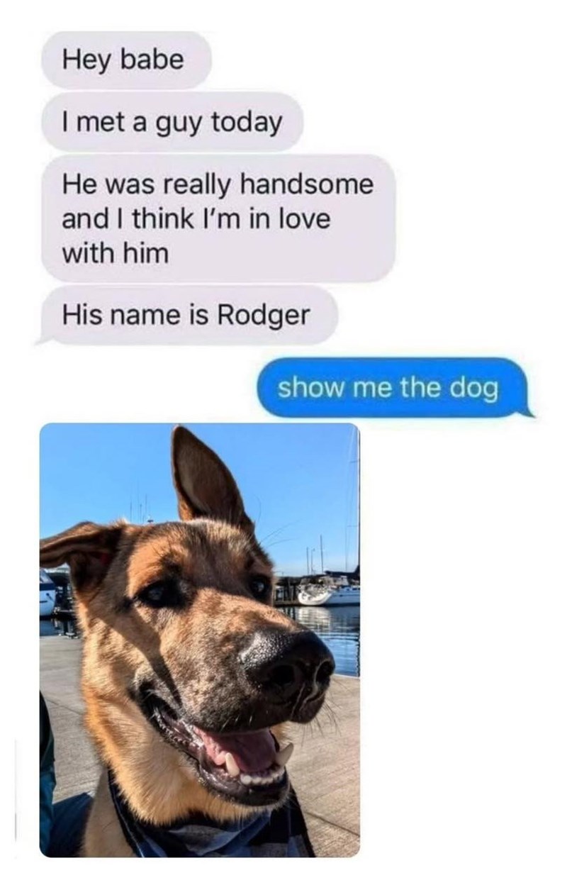 Hey babe I met a guy today He was really handsome and I think I'm in love with him His name is Rodger show me the dog