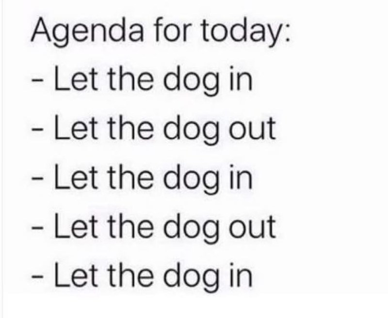 Agenda for today: - Let the dog in - Let the dog out - Let the dog in - Let the dog out - Let the dog in