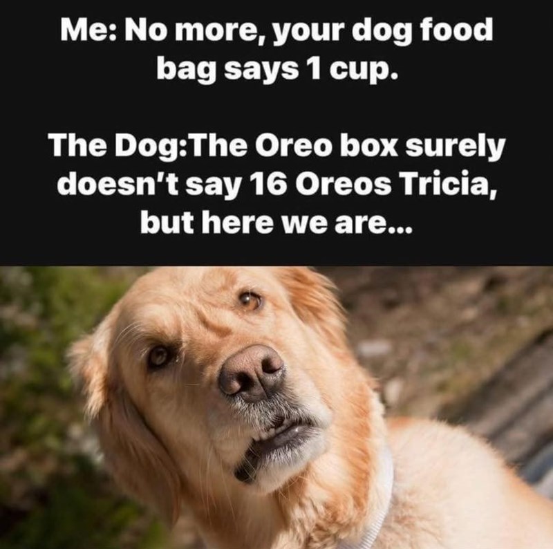 Me: No more, your dog food bag says 1 cup. The Dog:The Oreo box surely doesn't say 16 Oreos Tricia, but here we are...
