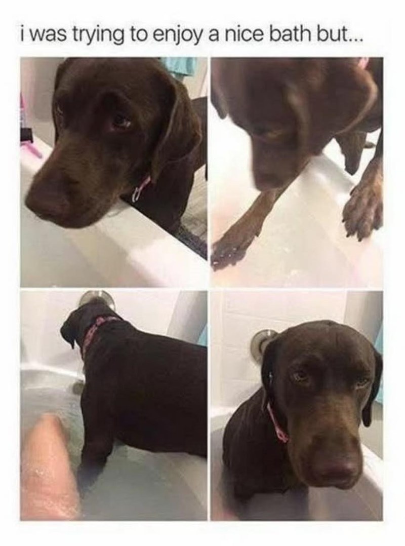 i was trying to enjoy a nice bath but...