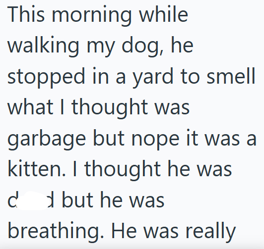 This morning while walking my dog, he stopped in a yard to smell what I thought was garbage but nope it was a kitten. I thought he was d d but he was breathing. He was really