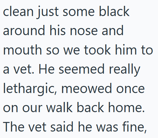 clean just some black around his nose and mouth so we took him to a vet. He seemed really lethargic, meowed once on our walk back home. The vet said he was fine,