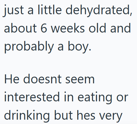 just a little dehydrated, about 6 weeks old and probably a boy. He doesnt seem interested in eating or drinking but hes very