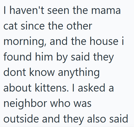 I haven't seen the mama cat since the other morning, and the house i found him by said they dont know anything about kittens. I asked a neighbor who was outside and they also said