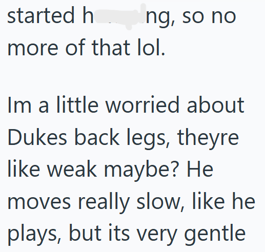 started h ng, so no more of that lol. Im a little worried about Dukes back legs, theyre like weak maybe? He moves really slow, like he plays, but its very gentle