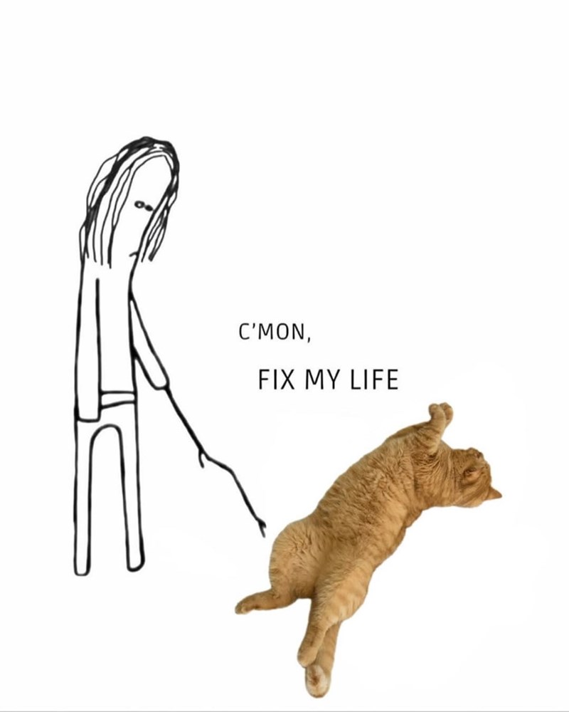 C'MON, FIX MY LIFE