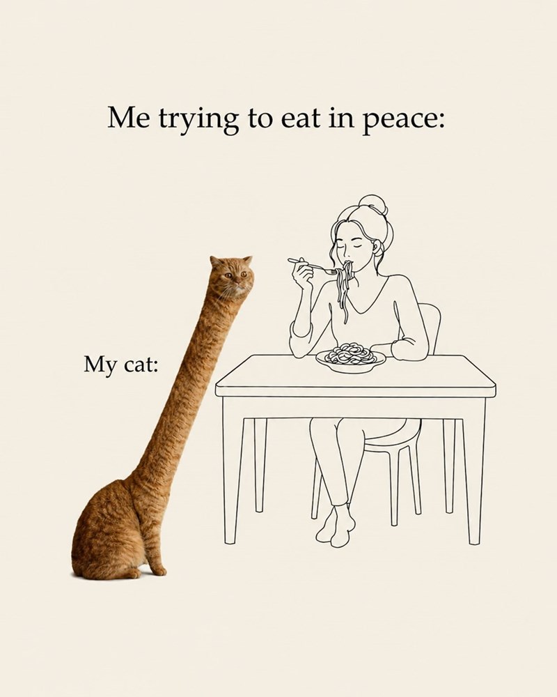 Me trying to eat in peace: My cat: ודאו