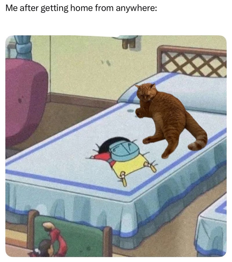 Me after getting home from anywhere: