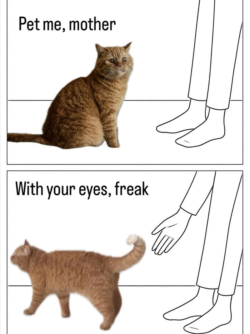 Pet me, mother With your eyes, freak