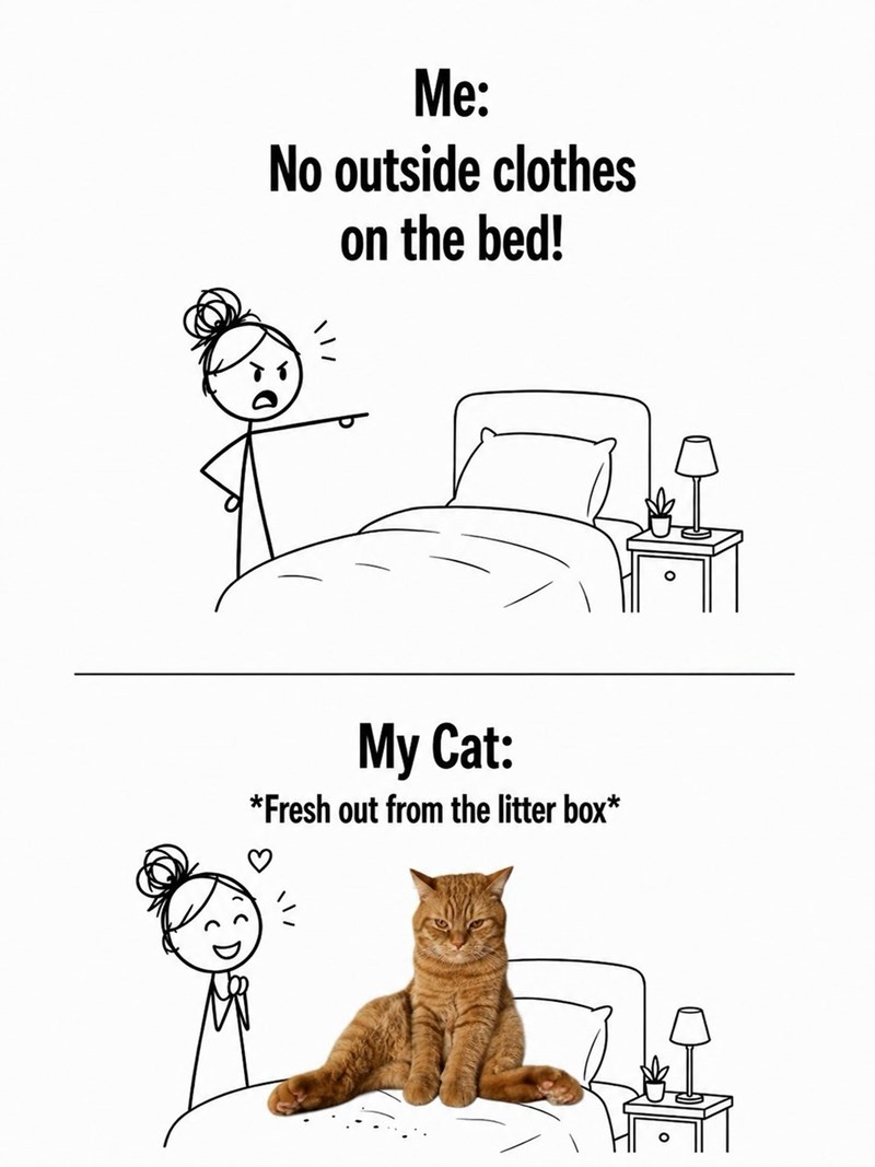 Me: No outside clothes on the bed! My Cat: *Fresh out from the litter box*