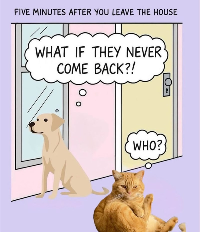FIVE MINUTES AFTER YOU LEAVE THE HOUSE WHAT IF THEY NEVER COME BACK?! WHO?