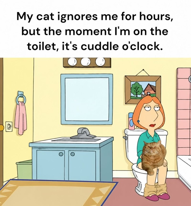 O My cat ignores me for hours, but the moment I'm on the toilet, it's cuddle o'clock.