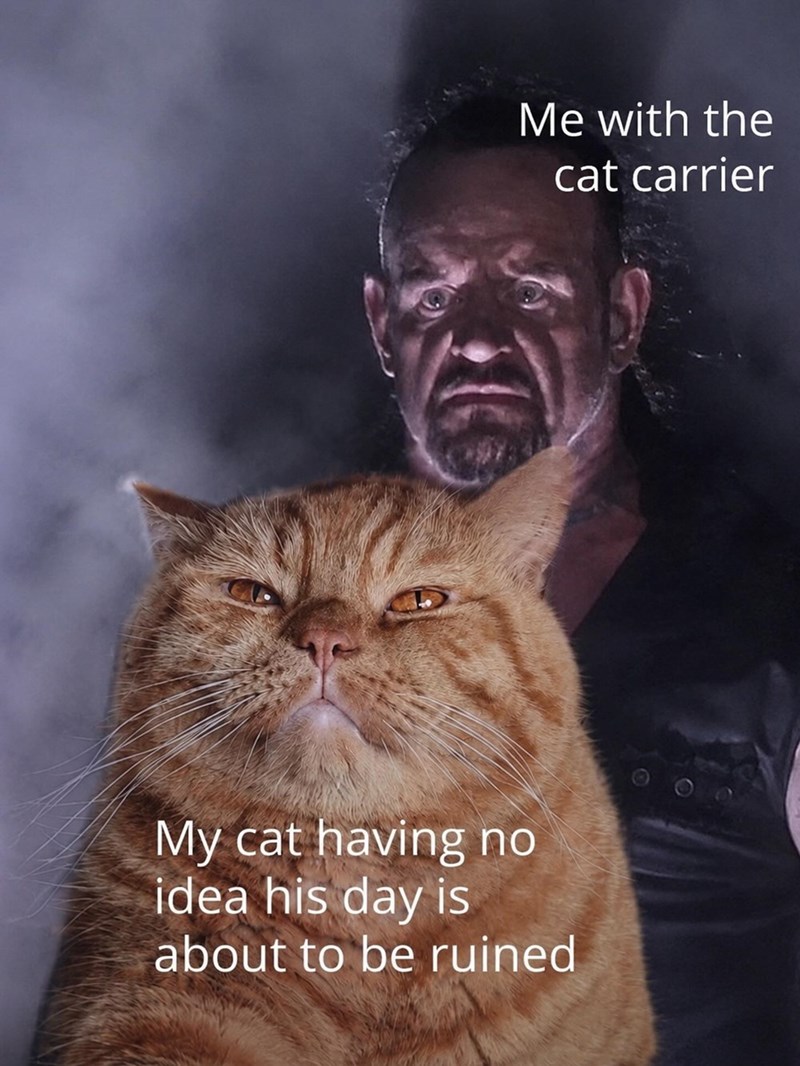 Me with the cat carrier My cat having no idea his day is about to be ruined