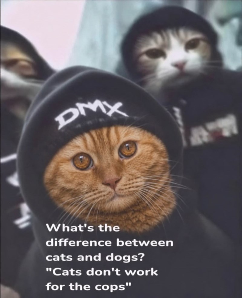 DMX What's the difference between cats and dogs? "Cats don't work for the cops"