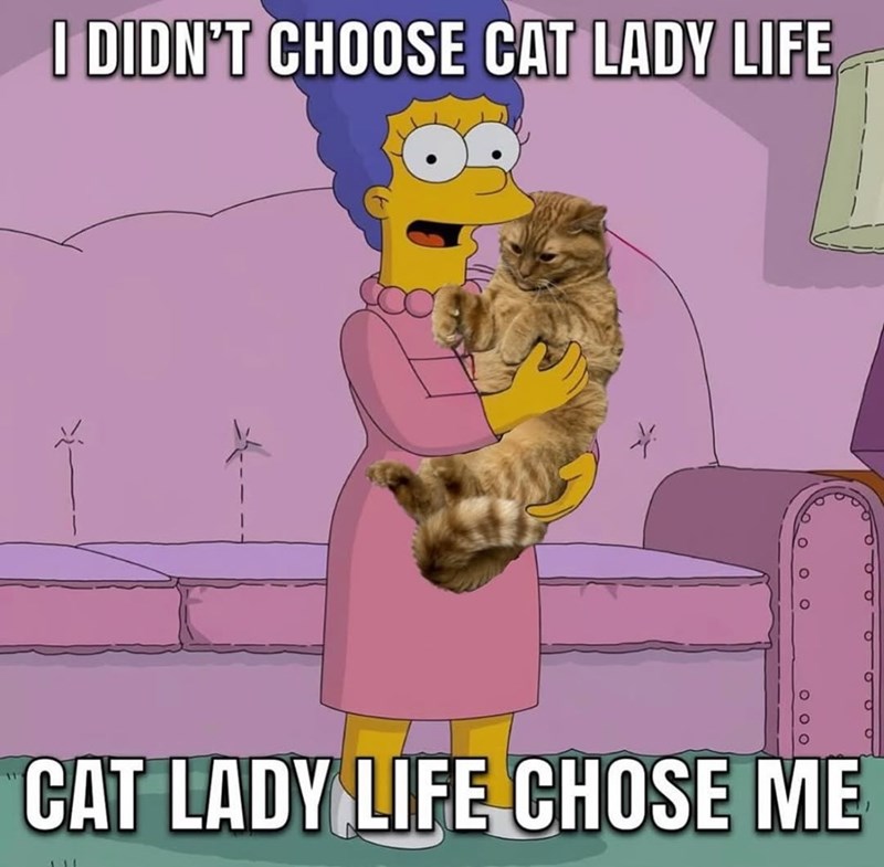 I DIDN'T CHOOSE CAT LADY LIFE O о 000 CAT LADY LIFE CHOSE ME