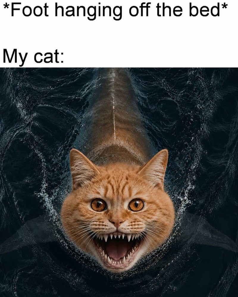 *Foot hanging off the bed* My cat: