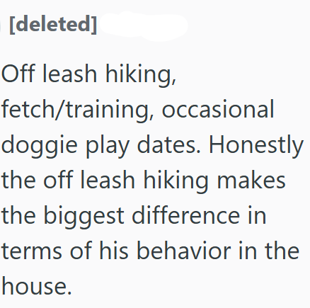 [deleted] Off leash hiking, fetch/training, occasional doggie play dates. Honestly the off leash hiking makes the biggest difference in terms of his behavior in the house.