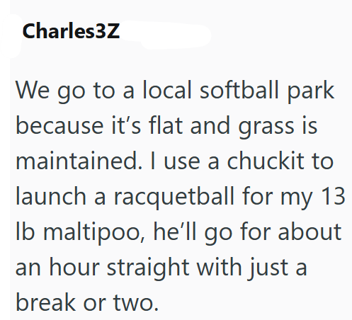 Charles3Z We go to a local softball park because it's flat and grass is maintained. I use a chuckit to launch a racquetball for my 13 lb maltipoo, he'll go for about an hour straight with just a break or two.