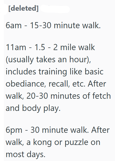 [deleted] 6am-15-30 minute walk. 11am - 1.5-2 mile walk (usually takes an hour), includes training like basic obediance, recall, etc. After walk, 20-30 minutes of fetch and body play. 6pm - 30 minute walk. After walk, a kong or puzzle on most days.