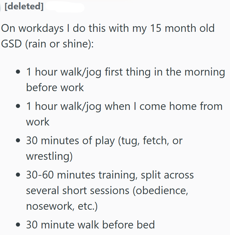 [deleted] On workdays I do this with my 15 month old GSD (rain or shine): • 1 hour walk/jog first thing in the morning before work • 1 hour walk/jog when I come home from work • 30 minutes of play (tug, fetch, or wrestling) • 30-60 minutes training, split across several short sessions (obedience, nosework, etc.) • 30 minute walk before bed