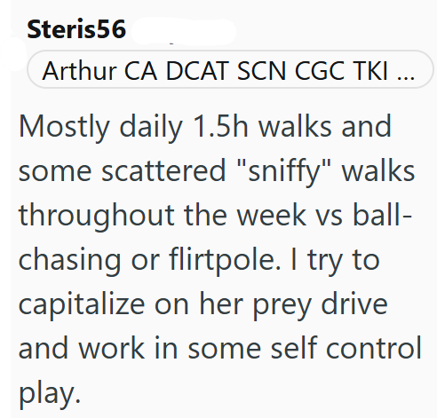 Steris56 Arthur CA DCAT SCN CGC TKI Mostly daily 1.5h walks and some scattered "sniffy" walks throughout the week vs ball- chasing or flirtpole. I try to capitalize on her prey drive and work in some self control play.