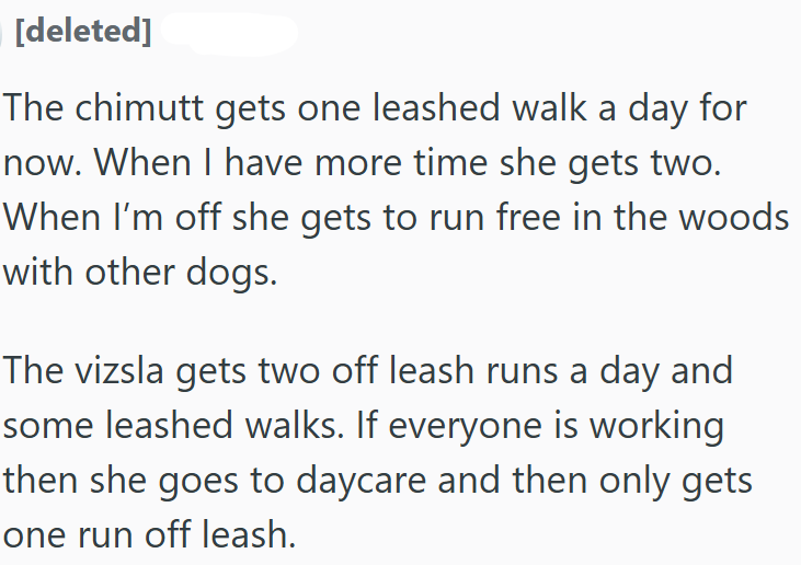 [deleted] The chimutt gets one leashed walk a day for now. When I have more time she gets two. When I'm off she gets to run free in the woods with other dogs. The vizsla gets two off leash runs a day and some leashed walks. If everyone is working then she goes to daycare and then only gets one run off leash.