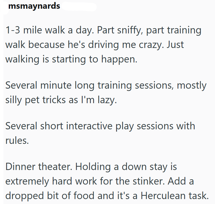 msmaynards 1-3 mile walk a day. Part sniffy, part training walk because he's driving me crazy. Just walking is starting to happen. Several minute long training sessions, mostly silly pet tricks as I'm lazy. Several short interactive play sessions with rules. Dinner theater. Holding a down stay is extremely hard work for the stinker. Add a dropped bit of food and it's a Herculean task.